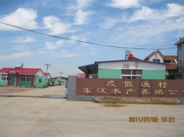 南戴河东江渔村
