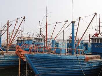 南戴河海边农家院