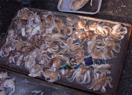 南戴河海鲜八爪鱼
