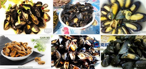 南戴河海鲜海虹
