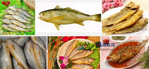 南戴河海鲜黄花鱼